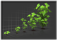 organic_growth_graph_400_clr_5097