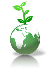 Does nature have its own intrinsic value?