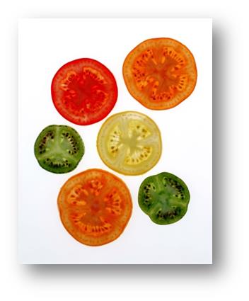 Given differences, how can we be sure that equality of opportunity exists?