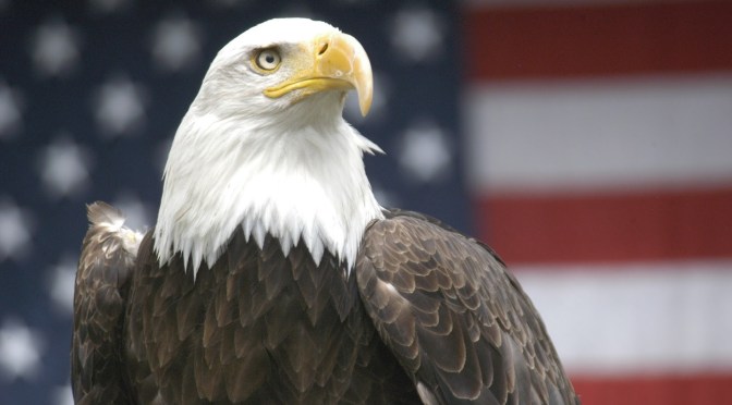 UNPRESIDENTED: A World View of the US Election 2016 (Talk)