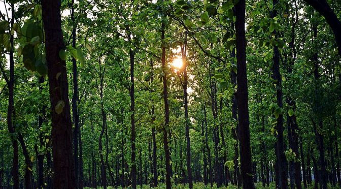 On Climate Debates: A Political Science Viewpoint