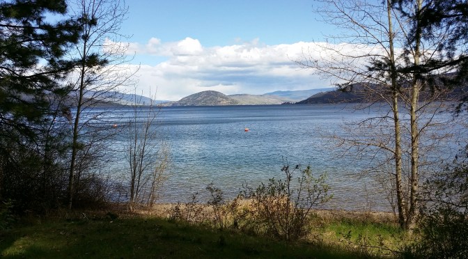 Should Lakes Have Rights? The intrinsic value of the nonhuman world